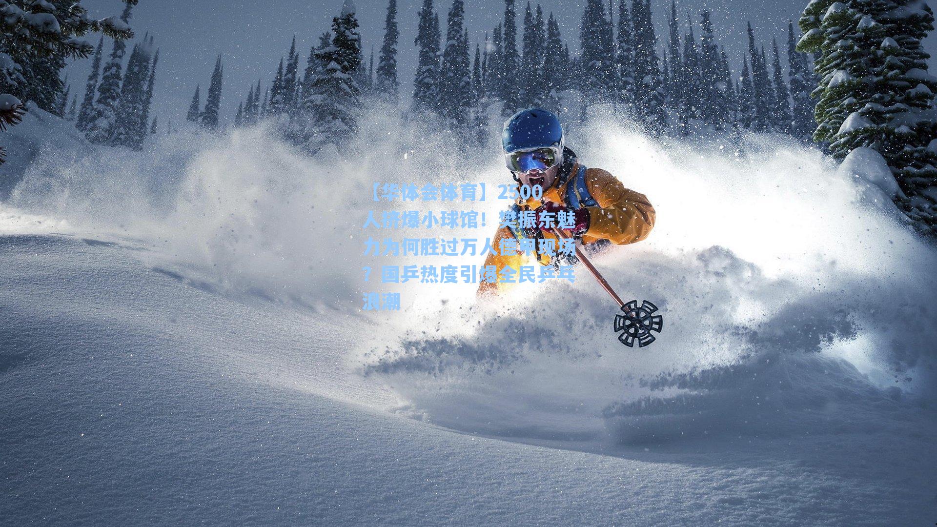 2500人挤爆小球馆!樊振东魅力为何胜过万人德甲现场?国乒热度引爆全民乒乓浪潮